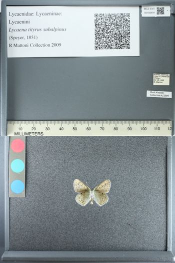 Media type: image;   Entomology 183491
